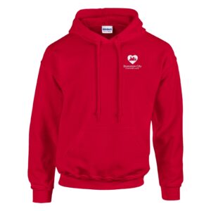 Dominion CIty Customised Hoodie